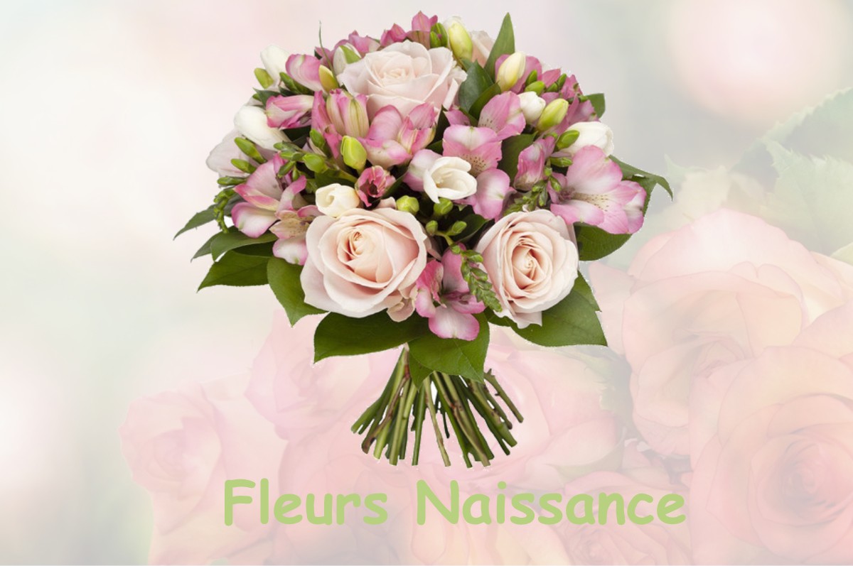 fleurs naissance LA-CHARTRE-SUR-LE-LOIR